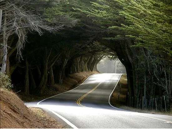 Fotos : Tunel ecológico Carreteras, caminos, paisajes