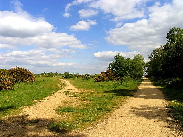 Paisajes del campo