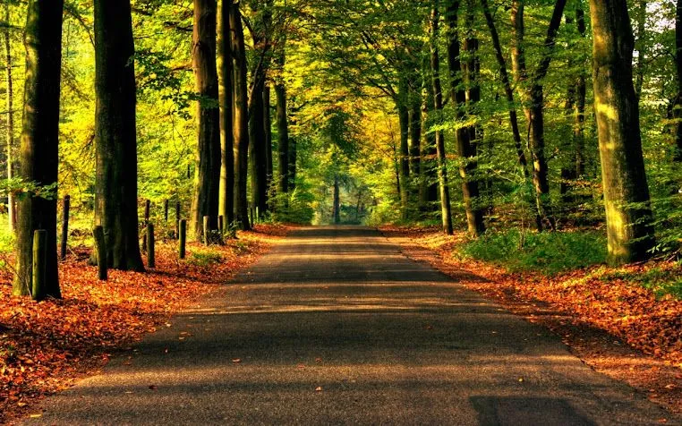 Paisajes de carreteras - Imagui