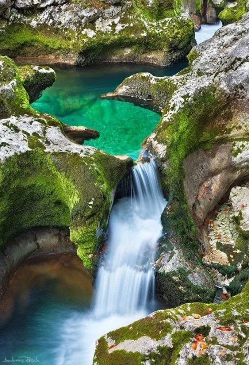 Paisajes con cataratas y flores - Imagui