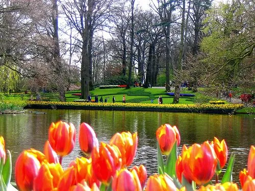 Paisajes de Ensueño: Paisajes de Holanda