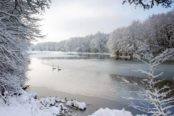 Paisajes de Ensueño: Paisajes del Mundo