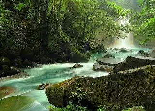 Paisajes de Ensueño: Paisajes Verdes