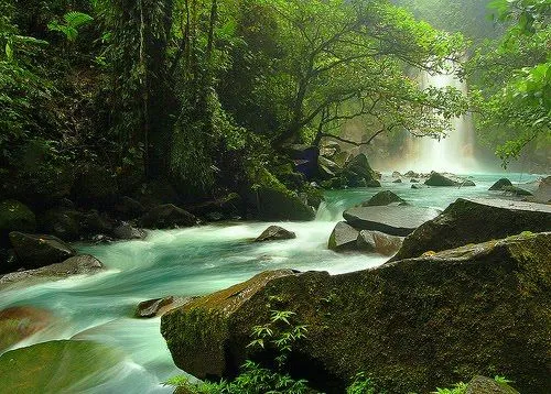 Paisajes de Ensueño: Paisajes Verdes