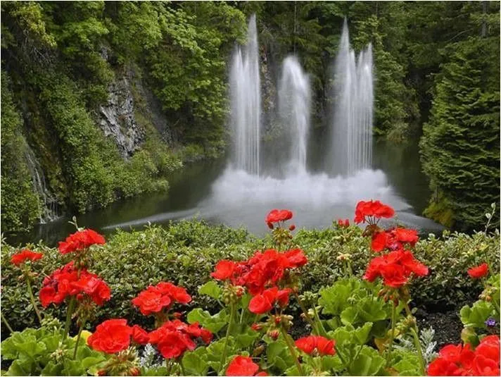 Paisajes De Flores | Paisaje hermosos con flores | paisajes ...