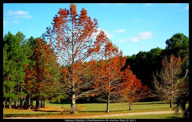 Paisajes [Fotos propias] - Taringa!