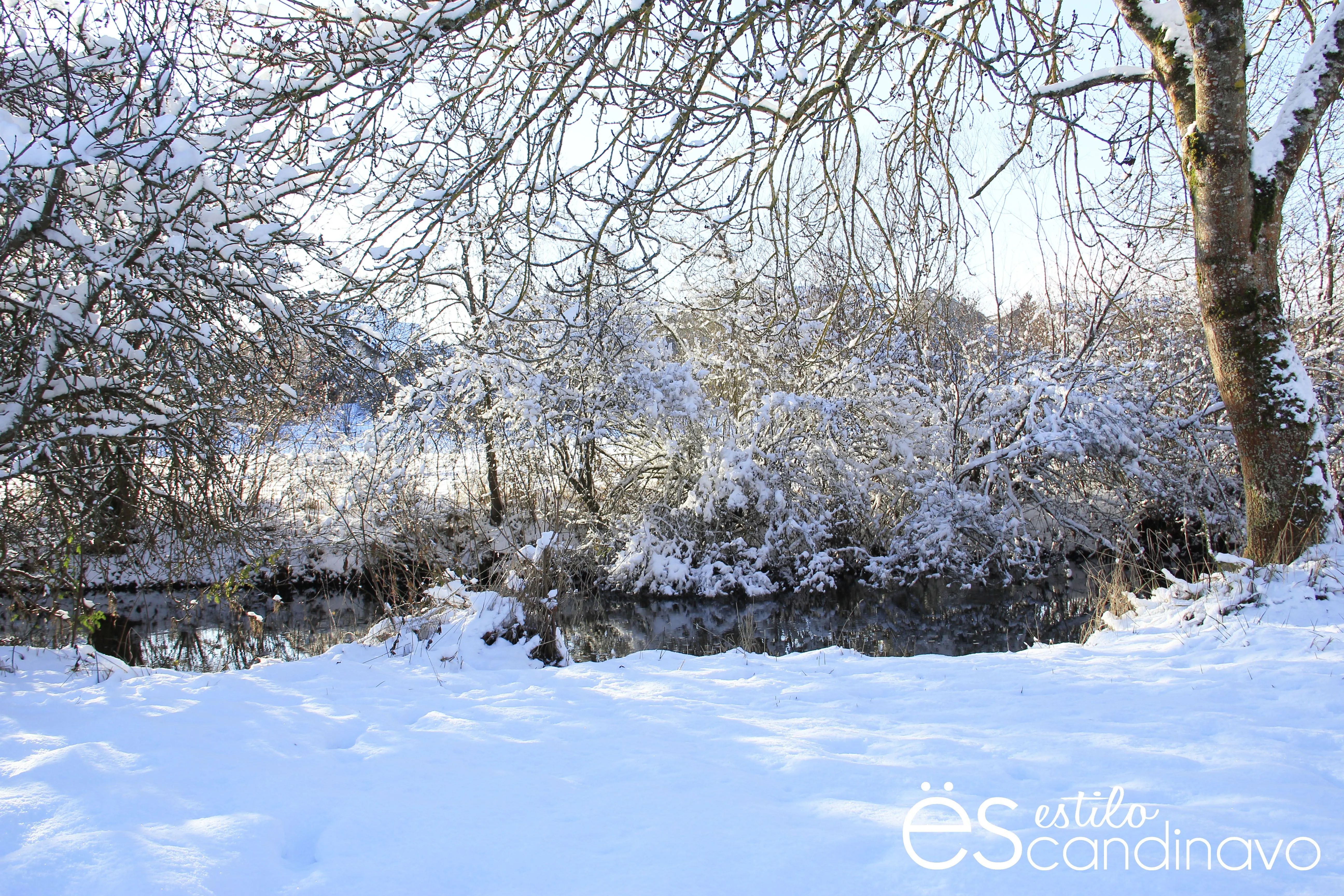 Paisajes de invierno | Estilo Escandinavo