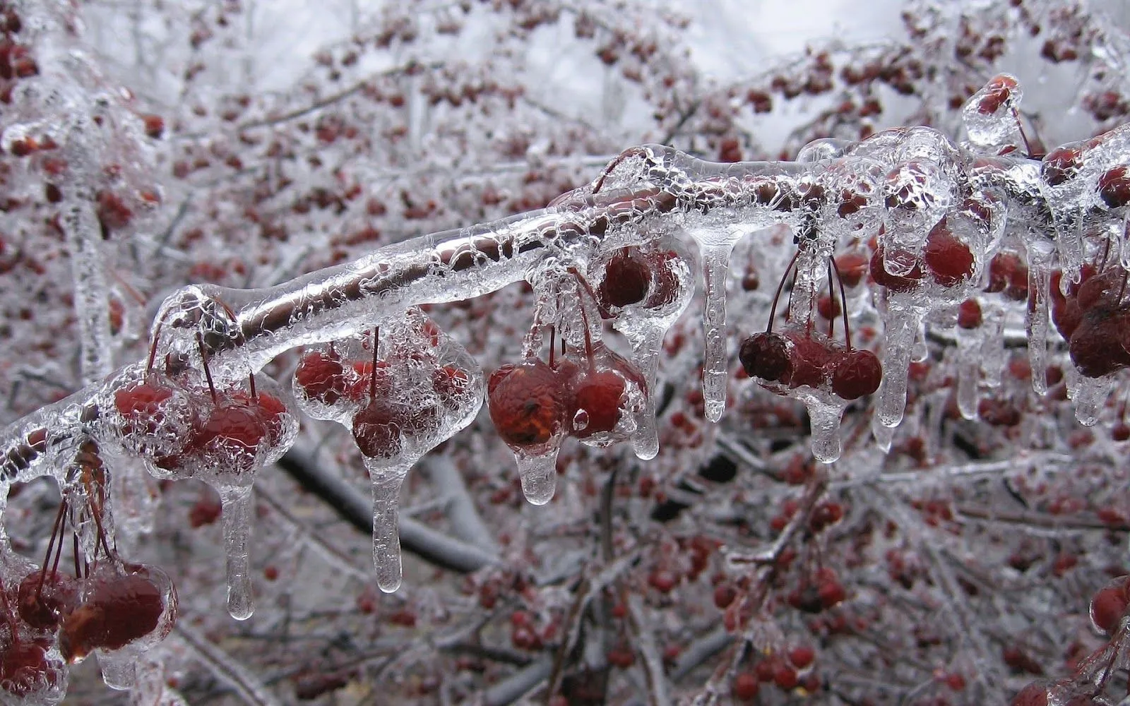 Paisajes de Invierno - 08 - Fondos de Pantalla HD - Wallpapers HD