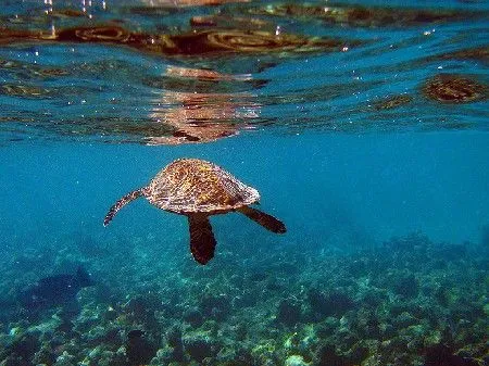 Paisajes del Mundo: Islas Maldivas