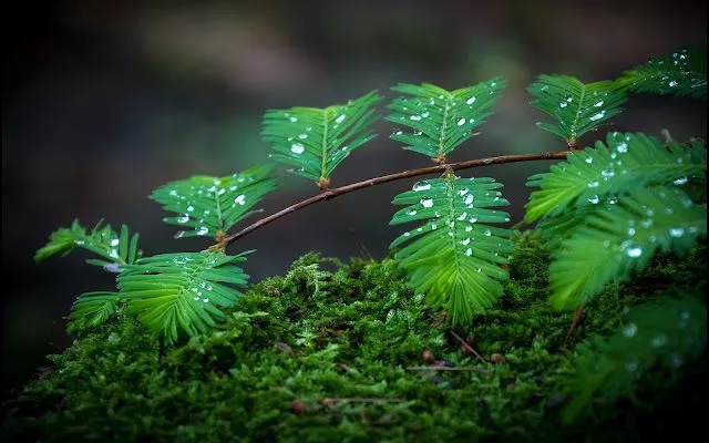 Paisajes Naturales Para Fondo de Pantalla - Taringa!