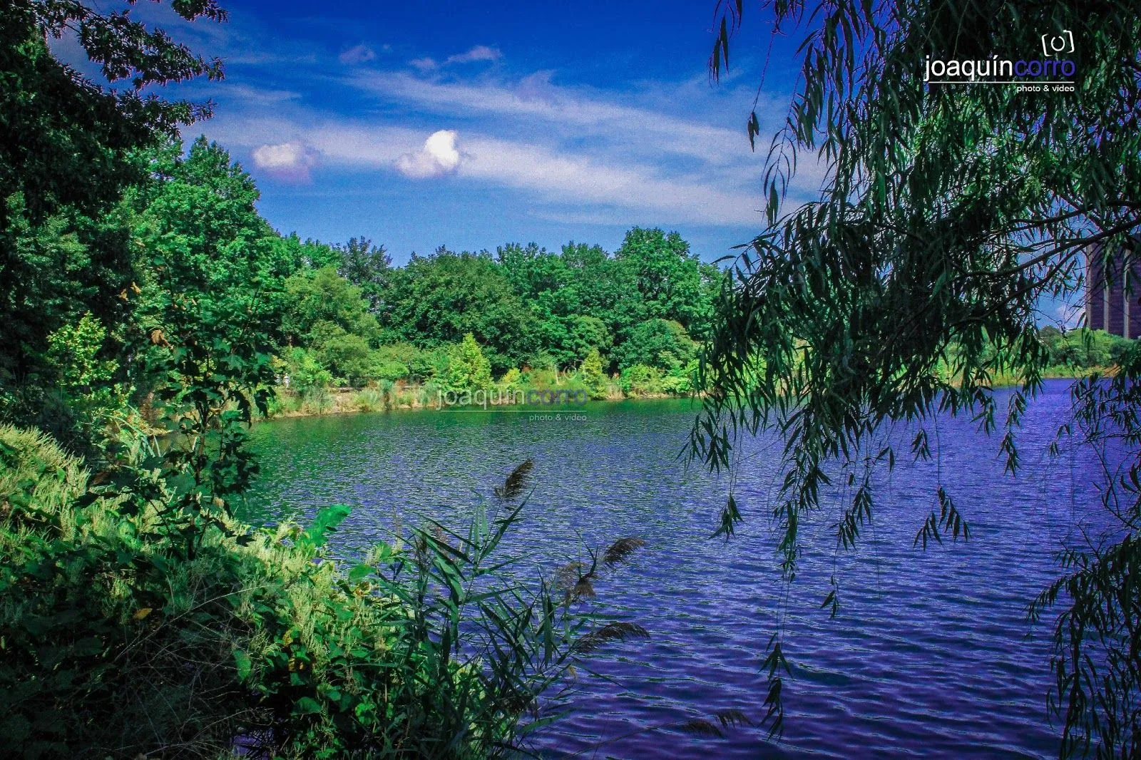 PAISAJES NATURALES: Jacqueline Kennedy Onassis Reservoir de ...