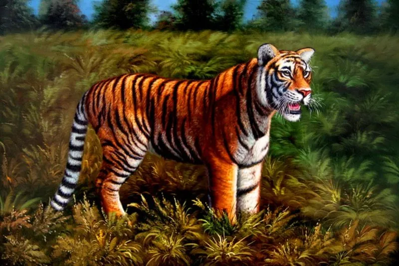  ... paisajes naturales con tigres pintura realista del tigre cuadros