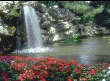 Paisajes de naturaleza animados - Directorio de venezuela