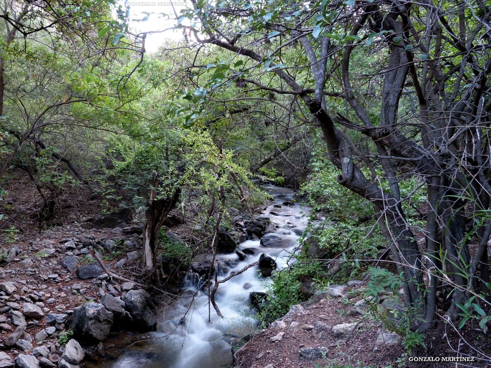 Paisajes Y Naturaleza de Catamarca: Dique Jumeal en la Parte Baja