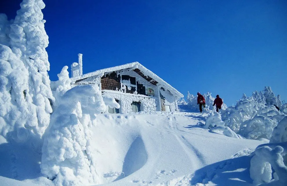 Paisajes nevados, simplemente inolvidables