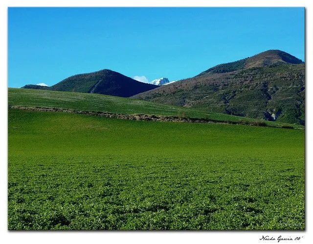 Paisajes Pirenaicos "Campos de la Jacetania" | Flickr - Photo Sharing!