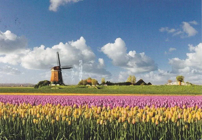 Países Bajos: Holanda – Holanda, tierra de tulipanes y molinos ...