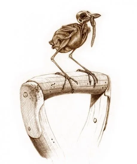 El pájaro sin plumas', aves que se comportan con naturalidad ...