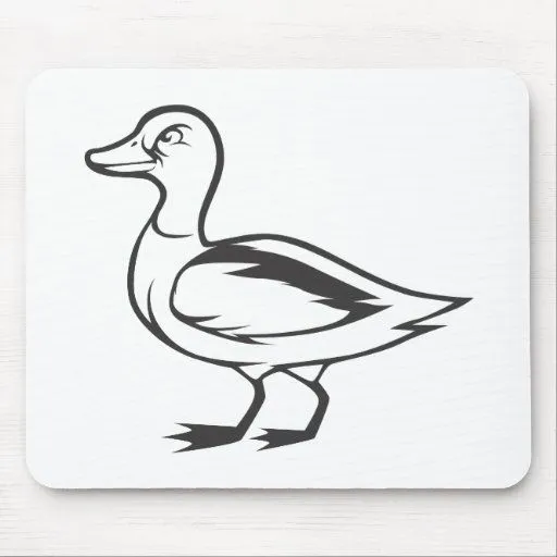 Pájaro serio del pato del pato silvestre en blanco alfombrilla de ...