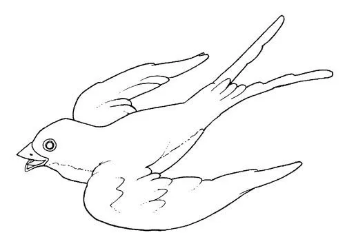 Pajaros para colorear e imprimir - Imagui