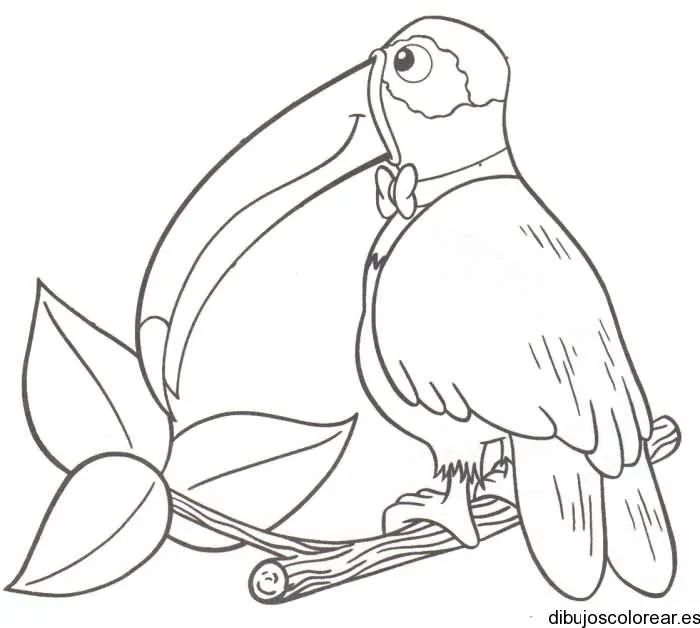 Pájaros | Dibujos para Colorear