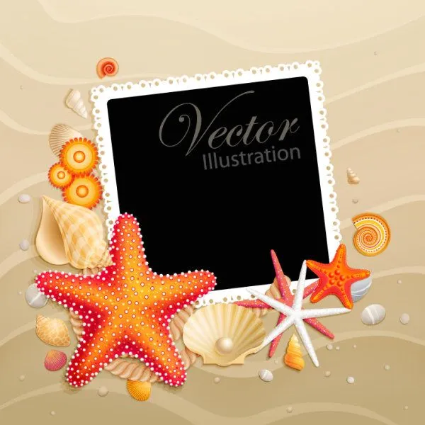 Palabras clave: shell, starfish, vector, perlas, concha, mar ...