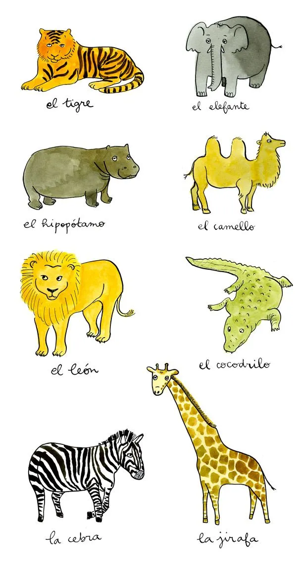 Palabras ilustradas: Animales salvajes (