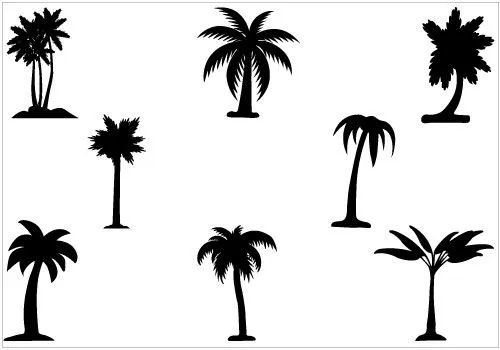 Palm Tree Silhouette Vector - ClipArt Best