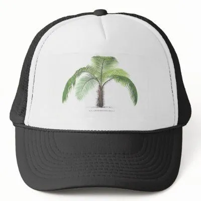  ... de la palmera - dibujo VI Gorras De Camionero de Zazzle.es