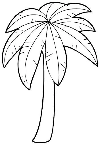 palmera jpg dibujos