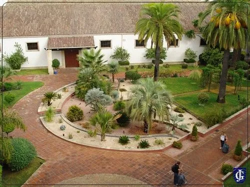 Jardín Terraza Ficus Hotel Prestige Palmera - JerezSiempre ...