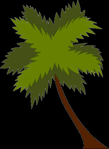 Palmeras vector png - Imagui