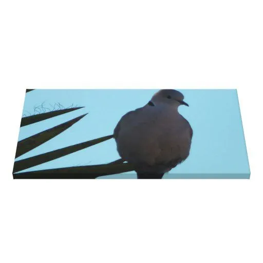 Paloma de luto del arte de la pared de la lona lienzo envuelto ...