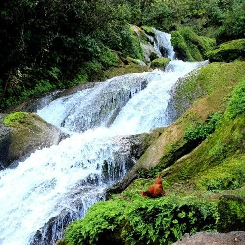 panorámicas - Browse image and gifs tagged by panorámicas