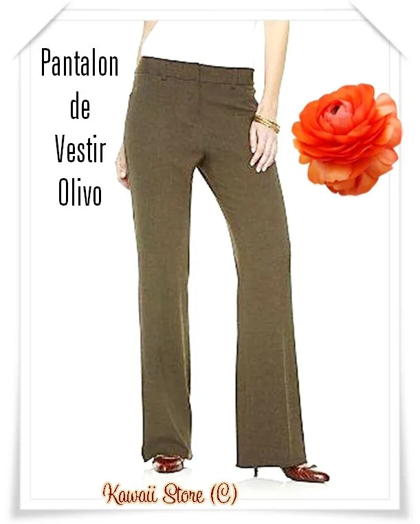 Pantalones de vestir para damas 2013 - Imagui