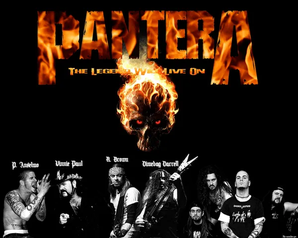 Pantera Wallpaper by sasuke-ps on DeviantArt