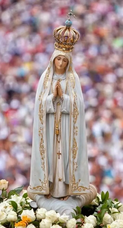 Papéis de parede com imagem de Nossa Senhora de Fátima - Melhores Papel de  Parede para Ce… em 2023 | Nossa senhora de fatima, Imagens de nossa senhora,  Imagens de mãe maria