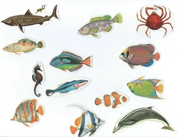 Paquete para collage de recortes de peces por BlueGrizzlePapers