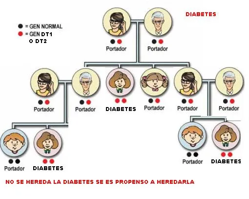 EL PARCHE 801 NZ: Genoma Humano! DIABETES ÁRBOL GENEALÓGICO