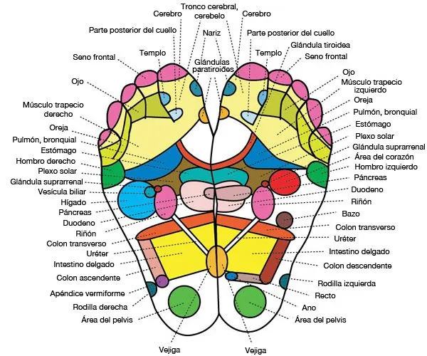 Parches de Desintoxicación para los Pies - Dr. Group's