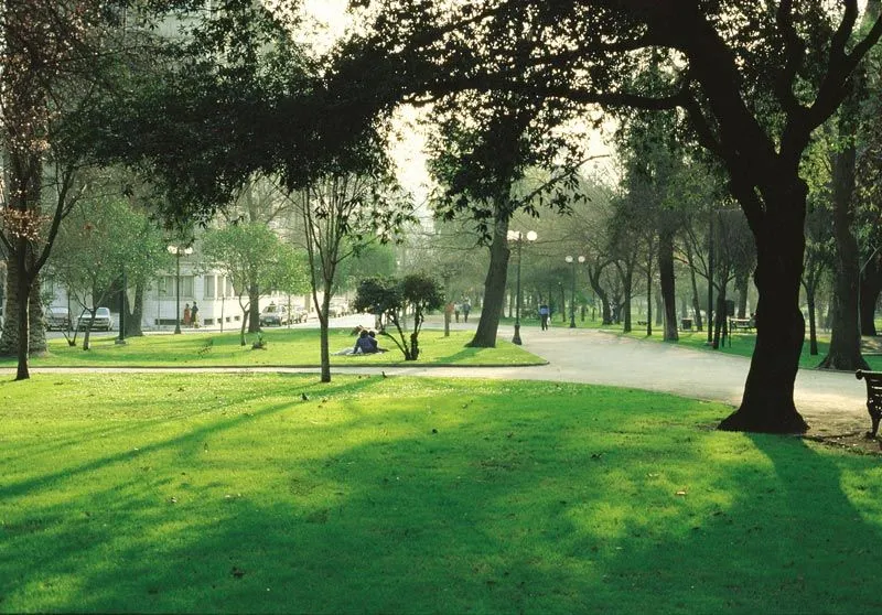 parque forestal | Plataforma Urbana