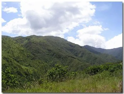 Parque Nacional Henri Pittier - Perfil de Parque - Amenazas