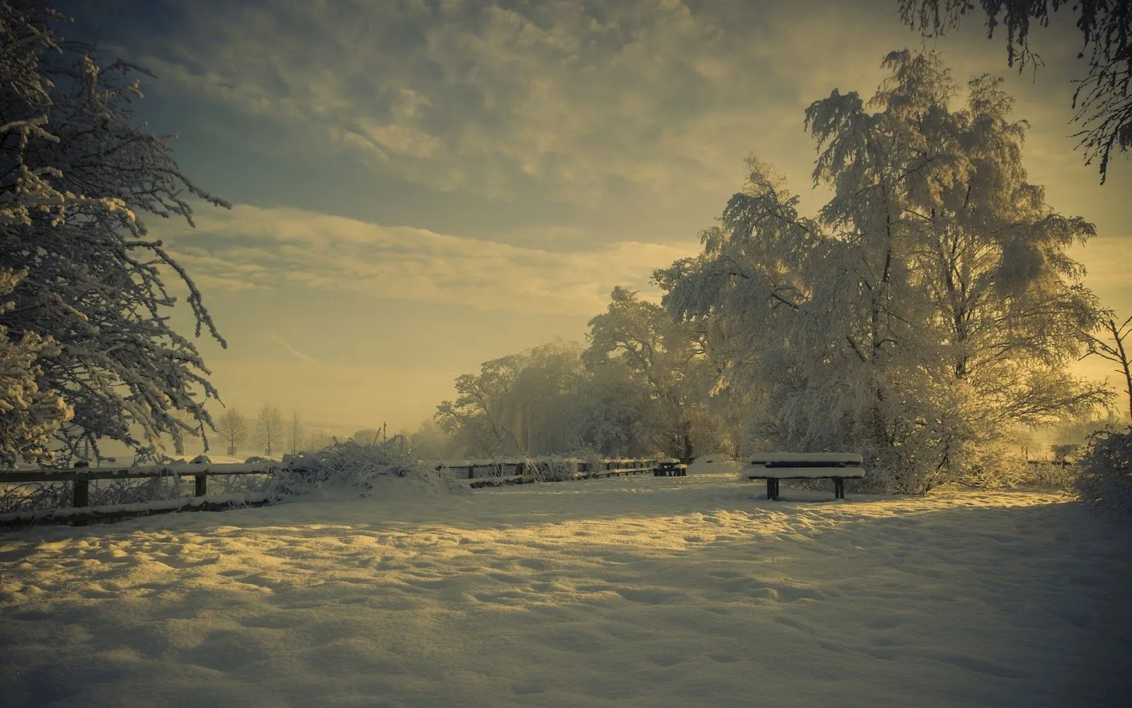 Parques en Invierno - Fondos de Pantalla HD - Wallpapers HD