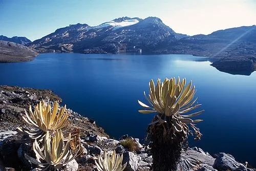 Los 5 parques naturales más importantes de Colombia