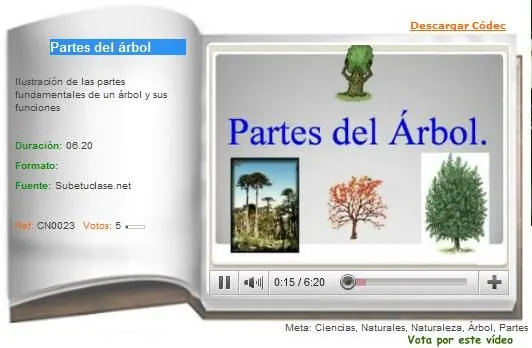 Partes del árbol | Recurso educativo 36236 - Tiching