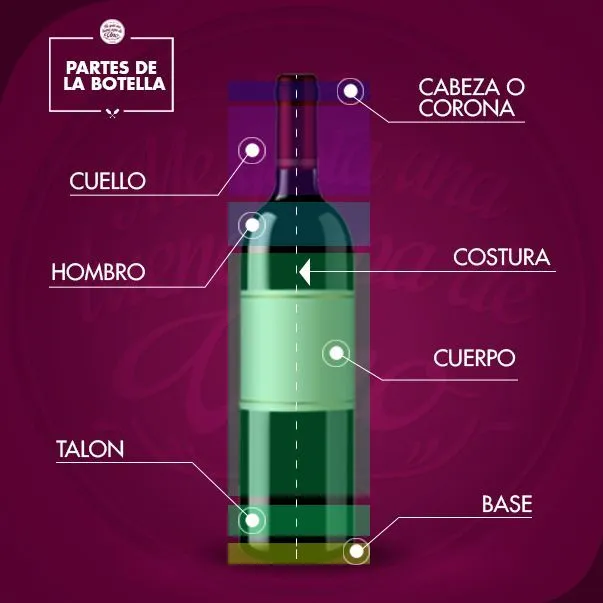 Las #Partes de la #Botella de #Vino! | Para saber más | Pinterest