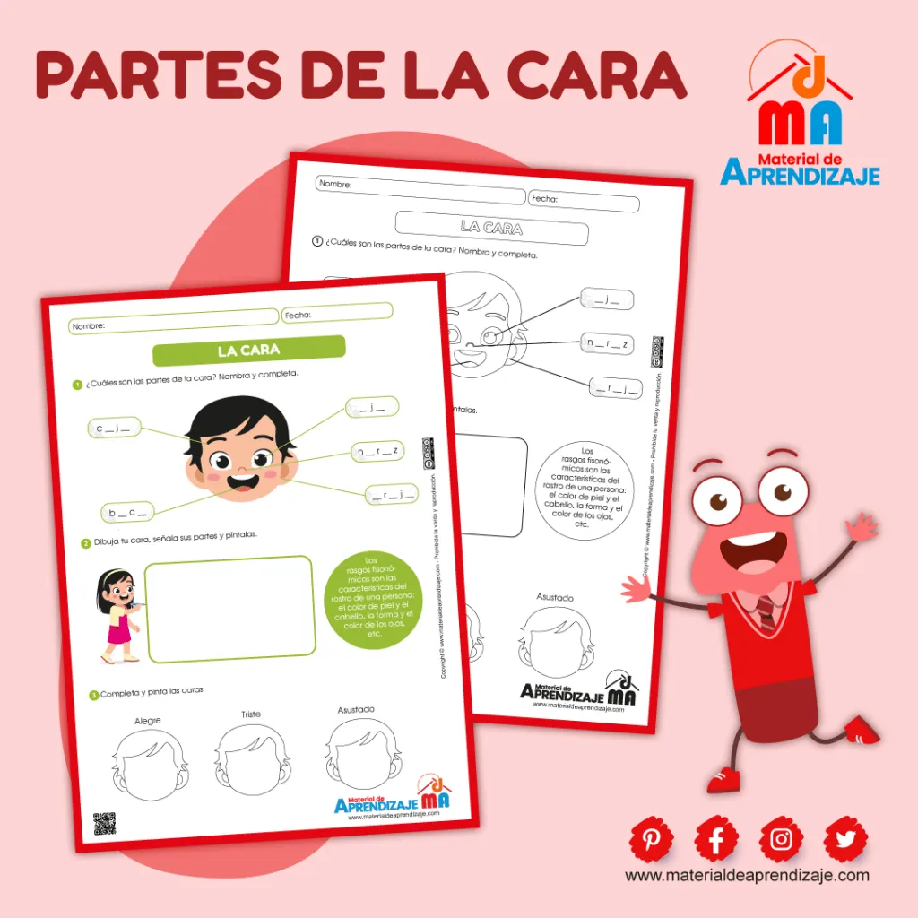 Las partes de la cara - Primer grado : Material de Aprendizaje