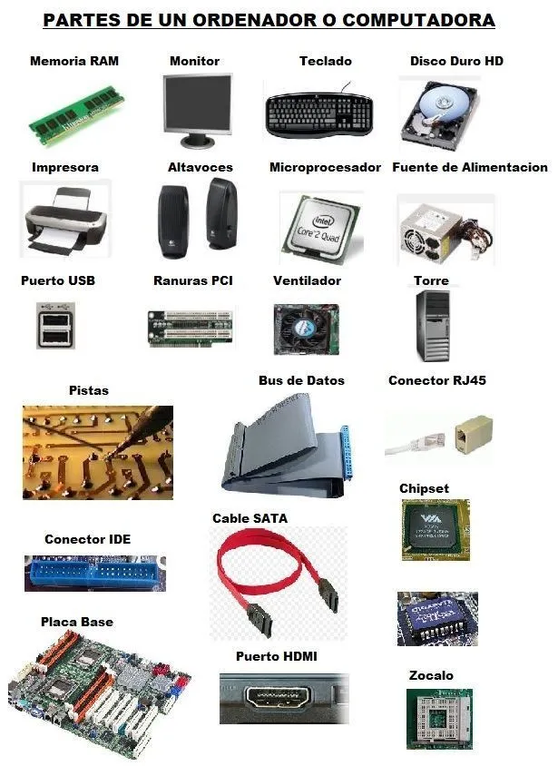 Partes del Computador | Hardware de computadora, Tecnologias de la  informacion y comunicacion, Informatica y computacion