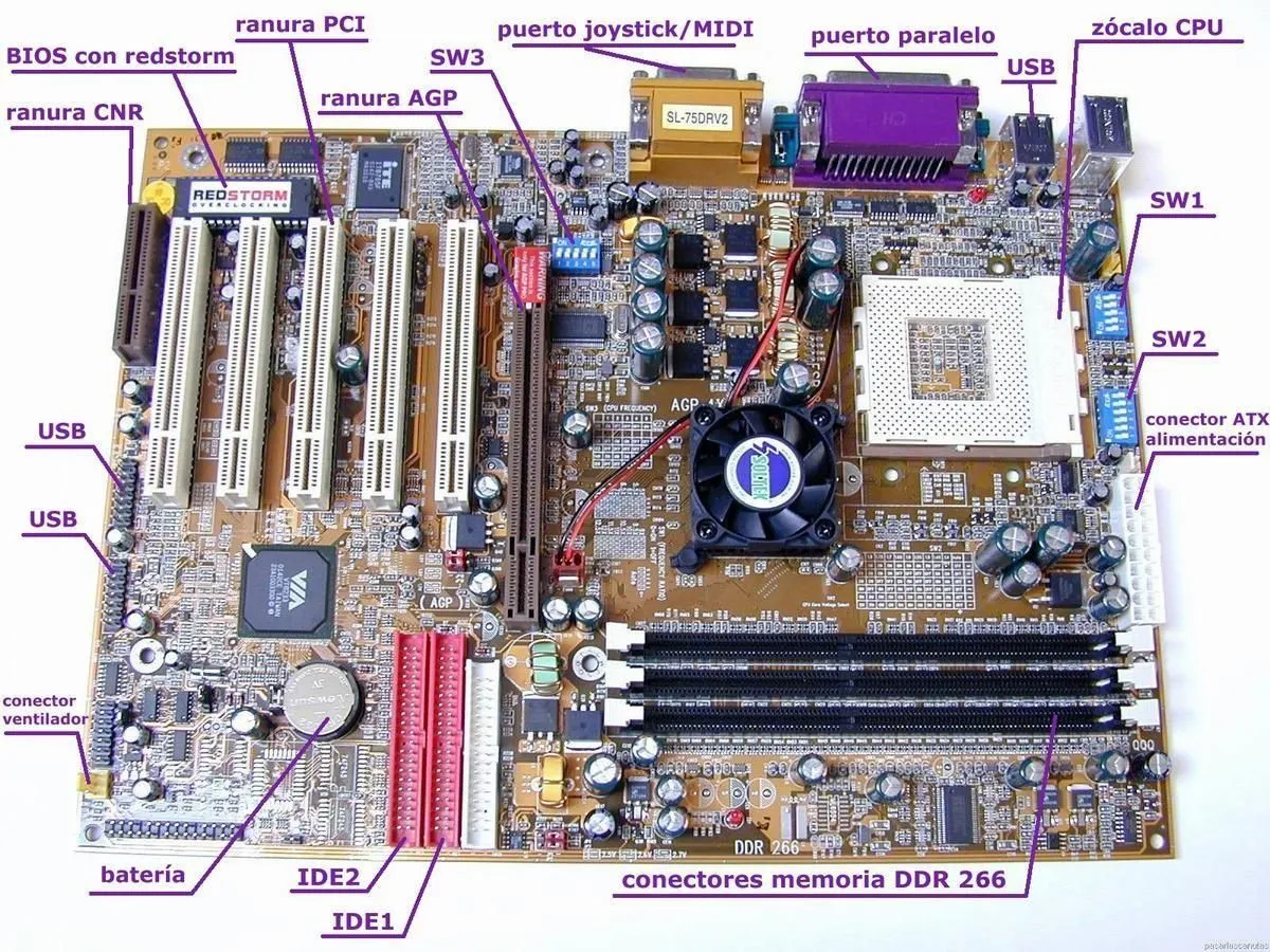 partes de la computadora | Hardware de computadora, Tarjetas de la madre, Placa  madre