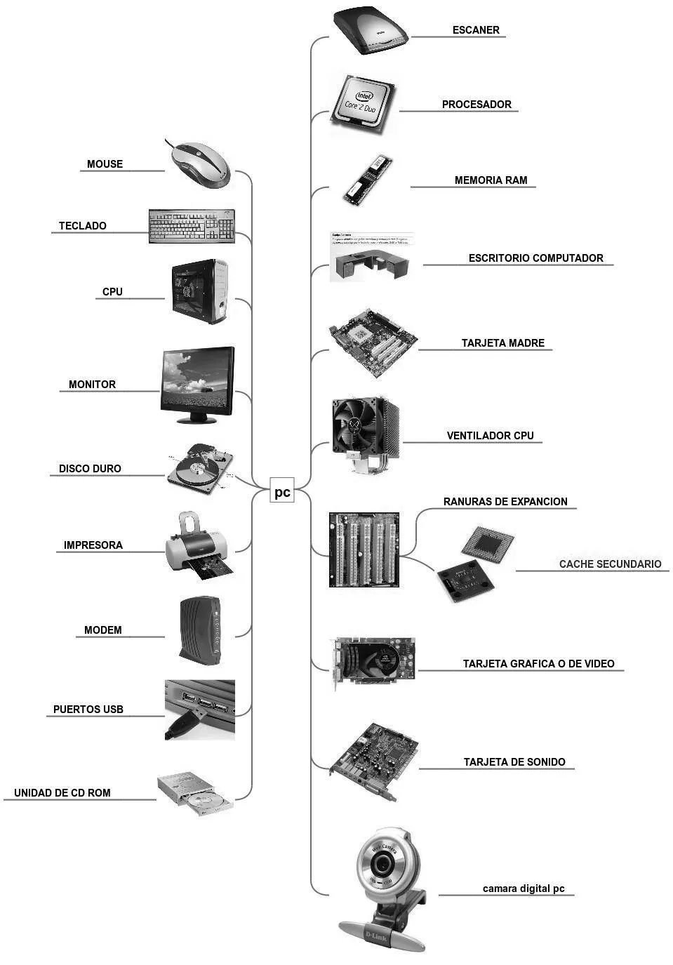 Partes de las Computadoras: Partes de la PC